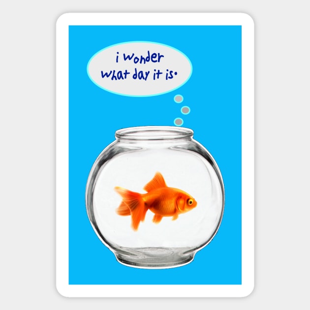 Life in a Fish Bowl Magnet by Show OFF Your T-shirts!™